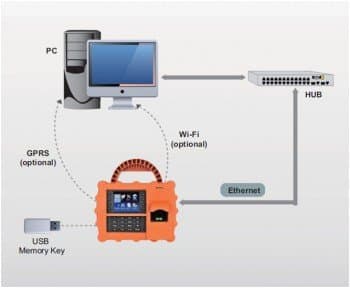 BioNC Strong - Thumbnail 4